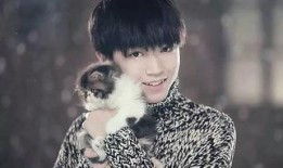 卓伟爆料过王俊凯吗视频,娱乐圈背后的真相曝光