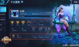 王者永昼爆料视频大全,揭秘游戏新内容与精彩瞬间